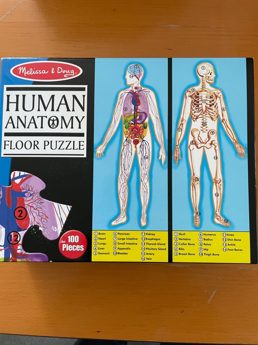 Melissa & Doug Human Anatomy Floor Puzzle - Light Blue and Black